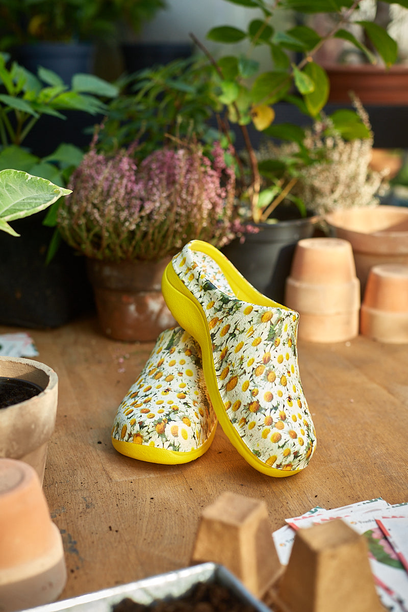 Havesko 'Daisy Lemon'